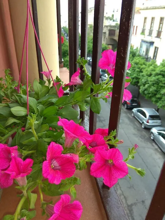 El Capricho De San Fernando, Consigna Gratis Y Parking A 200Mts Apartment Cordoba Spain